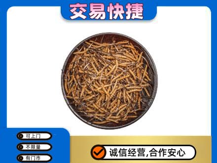 廊坊市高价回收散虫草